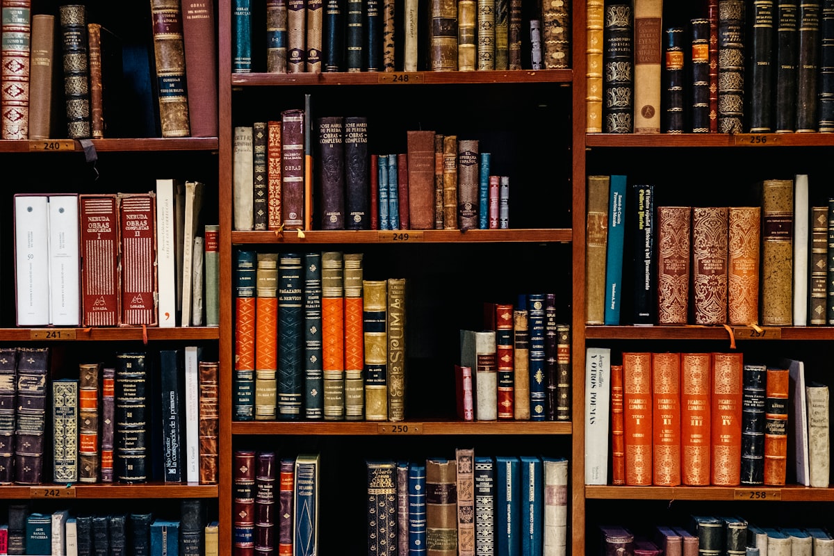 Law library bookshelves